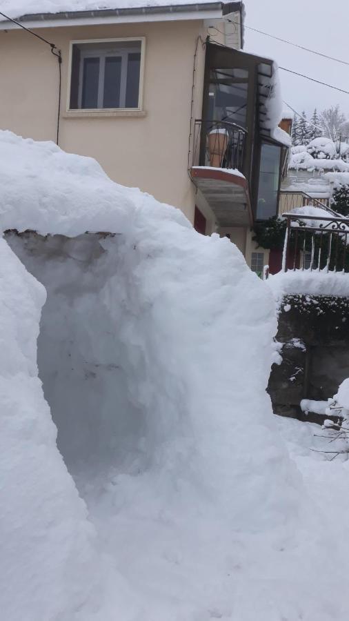 Les Planchettes Vila Orcival Exterior foto
